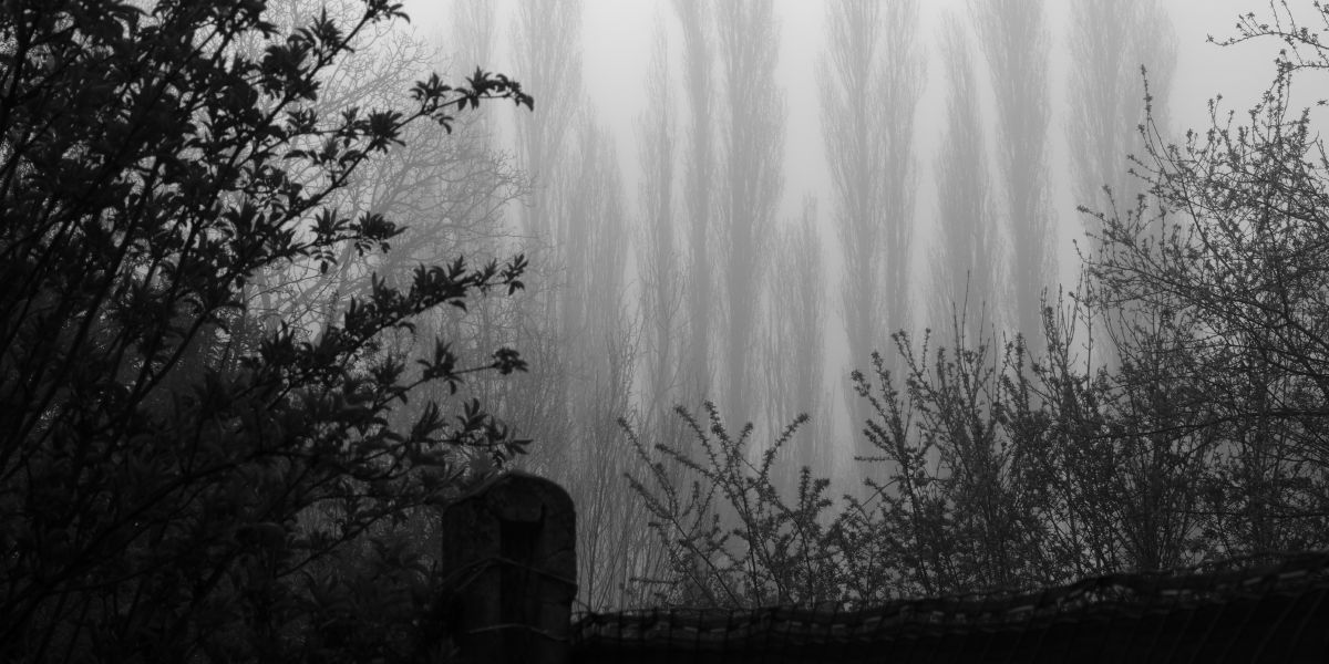 Confinement - partie 3